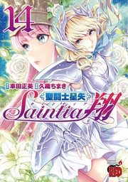 SAINT SEIYA SAINTIA SHO 14