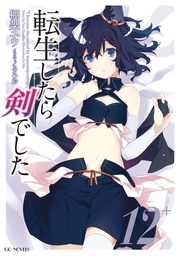 REINCARNATED AS A SWORD ANOTHER WISH 04