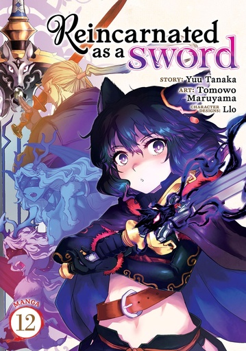 REINCARNATED AS A SWORD 12