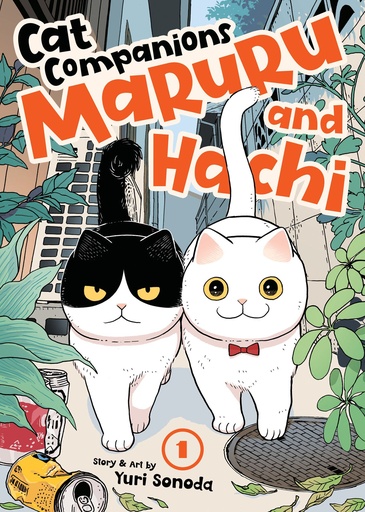 CAT COMPANIONS MARURU AND HACHI 1
