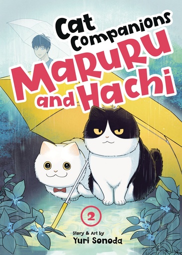 CAT COMPANIONS MARURU AND HACHI 2