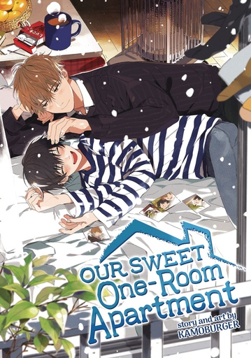 OUR SWEET ONE ROOM APARTMENT