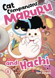 CAT COMPANIONS MARURU AND HACHI 3