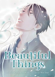 BEAUTIFUL THINGS COMPLETE MANGA COLLECTION