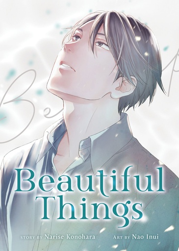 BEAUTIFUL THINGS COMPLETE MANGA COLLECTION