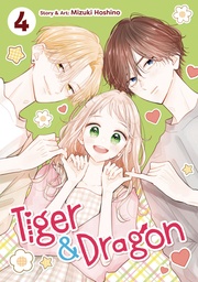 TIGER AND DRAGON VOL 4