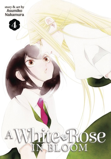 A WHITE ROSE IN BLOOM 4