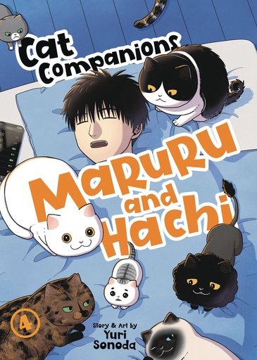 CAT COMPANIONS MARURU AND HACHI VOL 4