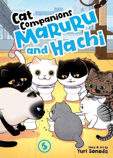 CAT COMPANIONS MARURU AND HACHI 5