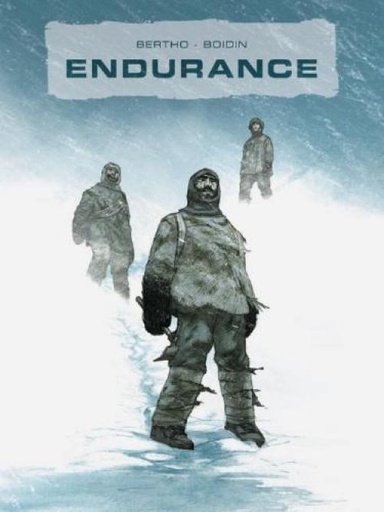 Endurance AA