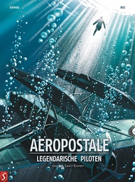 Aeropostale HC 4