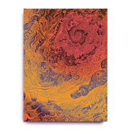 ILLUMINATED ED 08 A VOYAGE TO ARCTURUS (Jim Woodring)