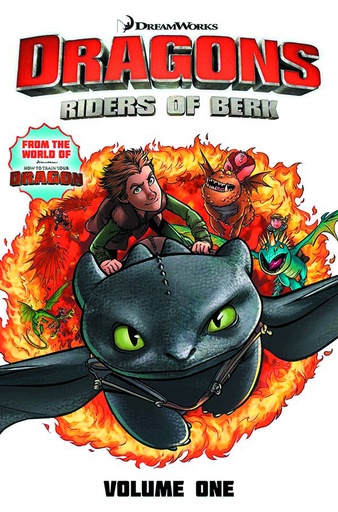 DRAGONS RIDERS OF BERK COLLECTION 01