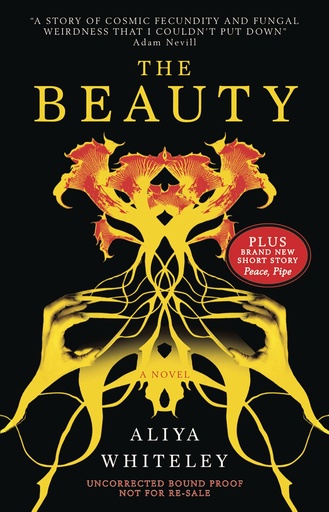 THE BEAUTY MMPB