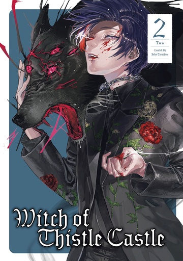 WITCH OF THISTLE CASTLE 02