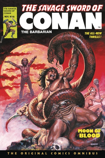 SAVAGE SWORD OF CONAN ORIG OMNIBUS REG 04