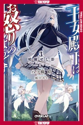 HER ROYAL HIGHNESS SEEMS TO BE ANGRY 3 (LIGHT NOVEL)