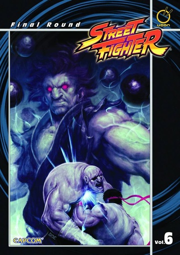 STREET FIGHTER 06 FINAL ROUND