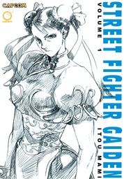 STREET FIGHTER GAIDEN 01