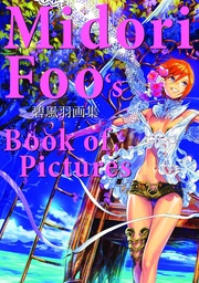 MIDORI FOO BOOK OF PICTURES