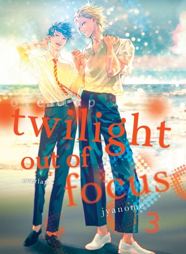 TWILIGHT OUT OF FOCUS OVERLAP