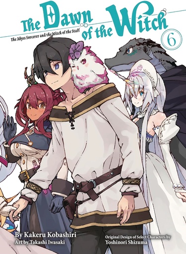 THE DAWN OF THE WITCH 6 (LIGHT NOVEL)