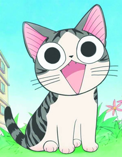 CHI SWEET HOME 12