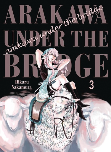 ARAKAWA UNDER THE BRIDGE 06
