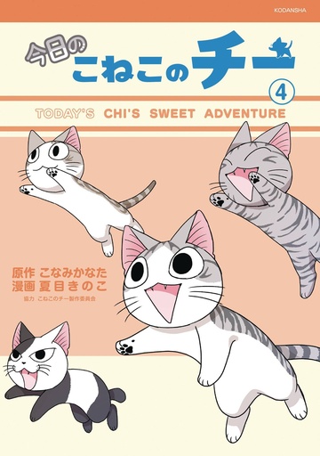 CHI SWEET ADVENTURES 04