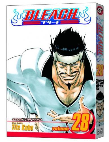 BLEACH 28