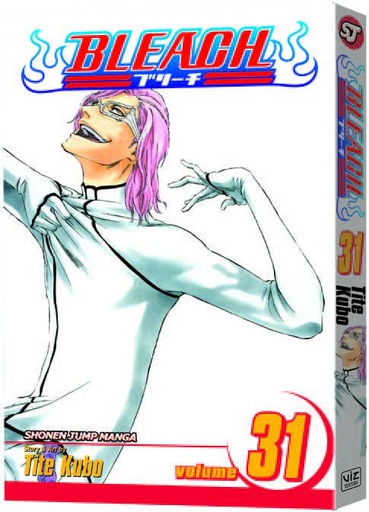 BLEACH 31
