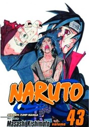 NARUTO 43
