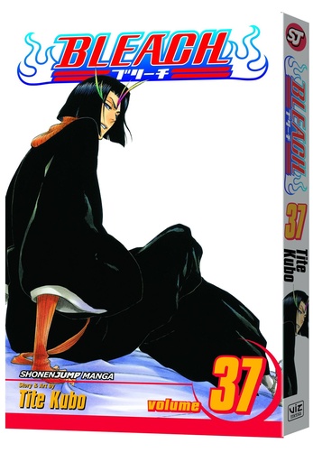BLEACH 37