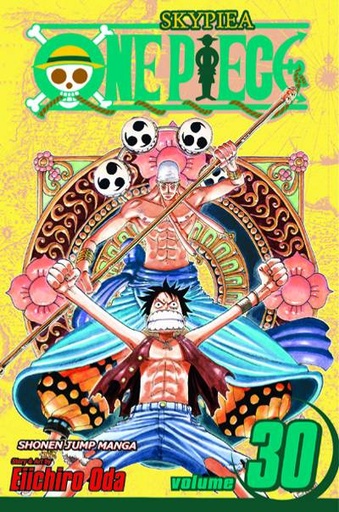 ONE PIECE 31