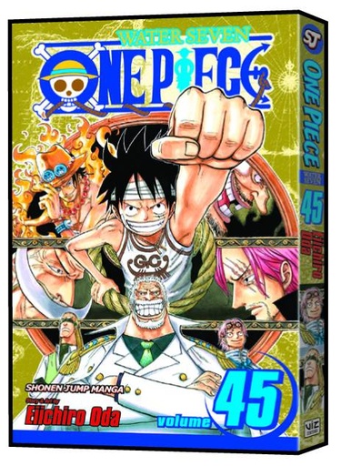 ONE PIECE 45
