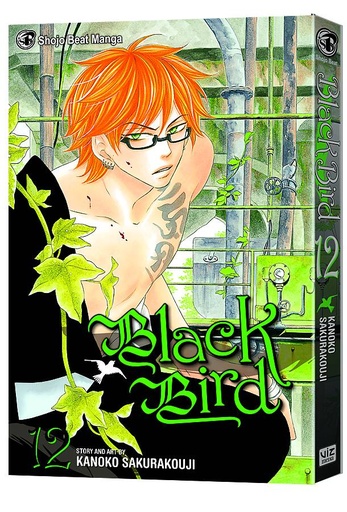 BLACK BIRD 12