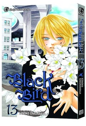 BLACK BIRD 13