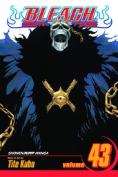 BLEACH 43
