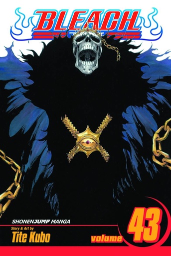 BLEACH 43