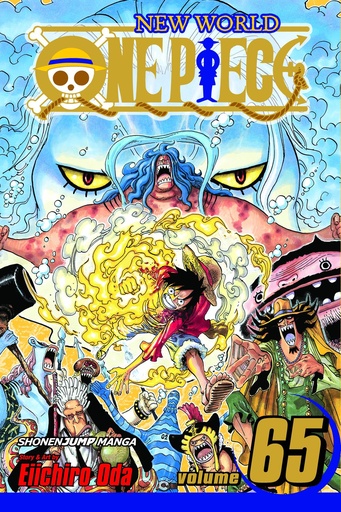 ONE PIECE 65