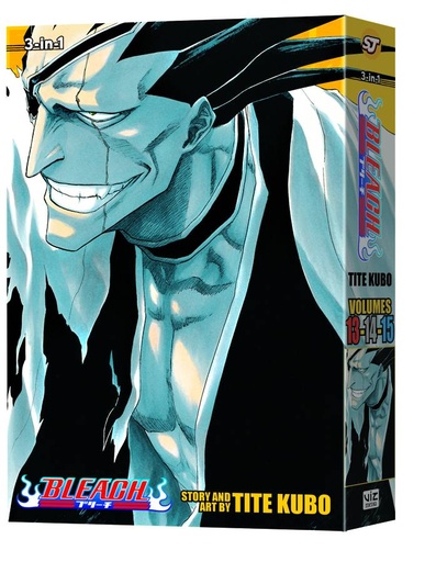 BLEACH 3IN1 05