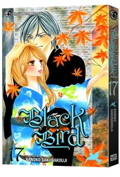 BLACK BIRD 17