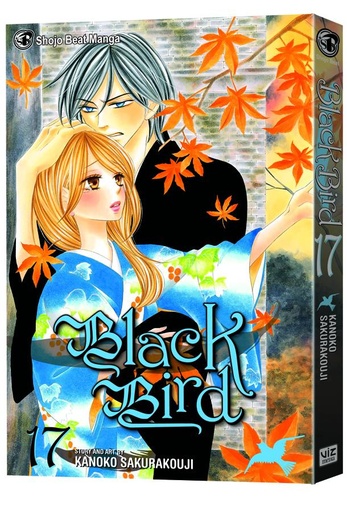 BLACK BIRD 17
