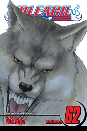 BLEACH 62