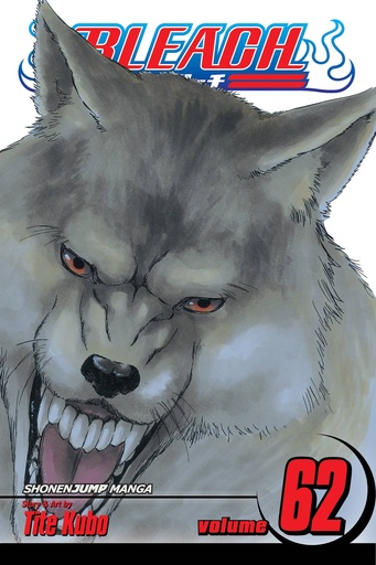 BLEACH 62