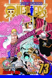 ONE PIECE 73