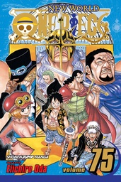 ONE PIECE 75