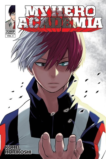 MY HERO ACADEMIA 05