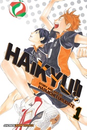 HAIKYU 01