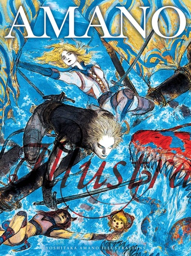 YOSHITAKA AMANO ILLUSTRATIONS HC